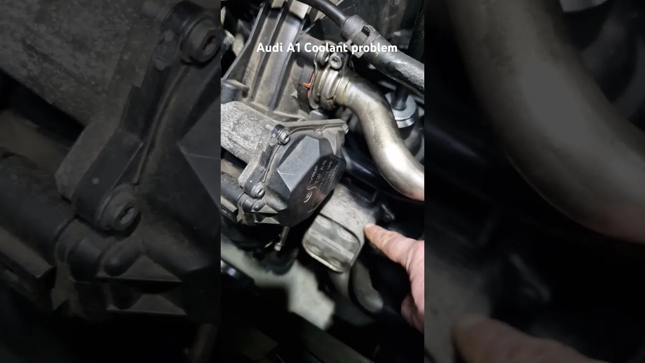 AUDI A1 COOLANT LEAK RESSULVE #AUTOMOBILE #AUDI #AUDILOVER #CAR #LEAKS #AUDIORLD Voir la vidéo complète.