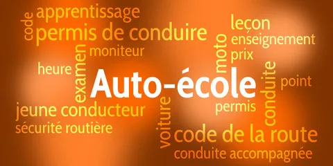 Avant la voiture, le code de la route et le permis