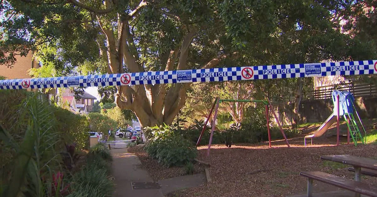 Des coups de feu tirés après une Audi volée conduite à la police dans l’est de Sydney