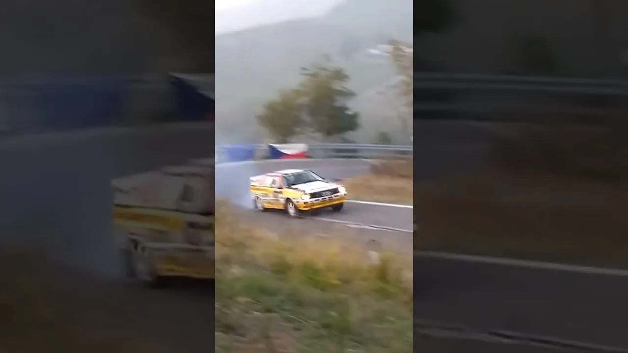 Audi Quattro s1 Rally  #rally #car #wrc#shorts