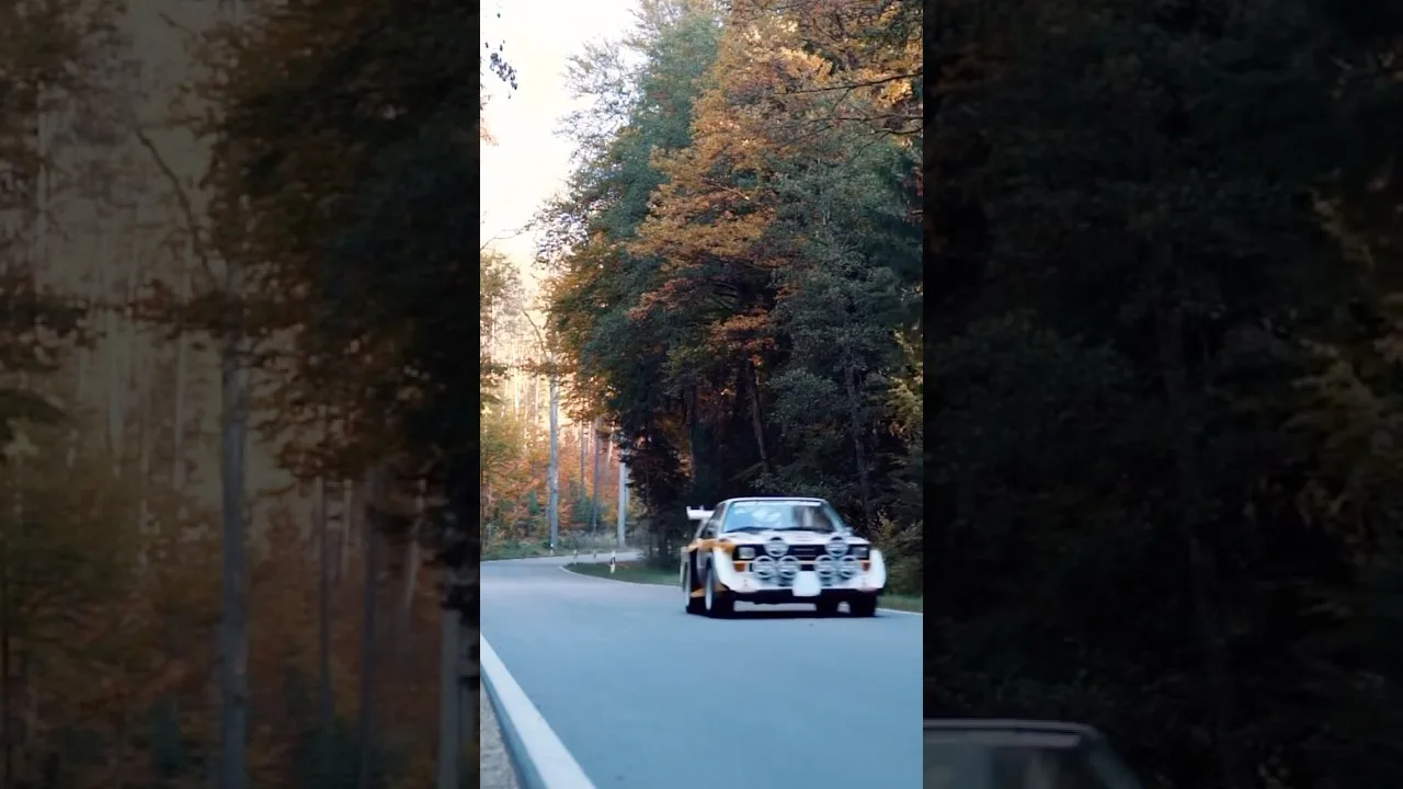 Simply Audi Quattro S1 #automobile #motorsport #racecar #wrc #offroad #racing #offroadracing #shorts