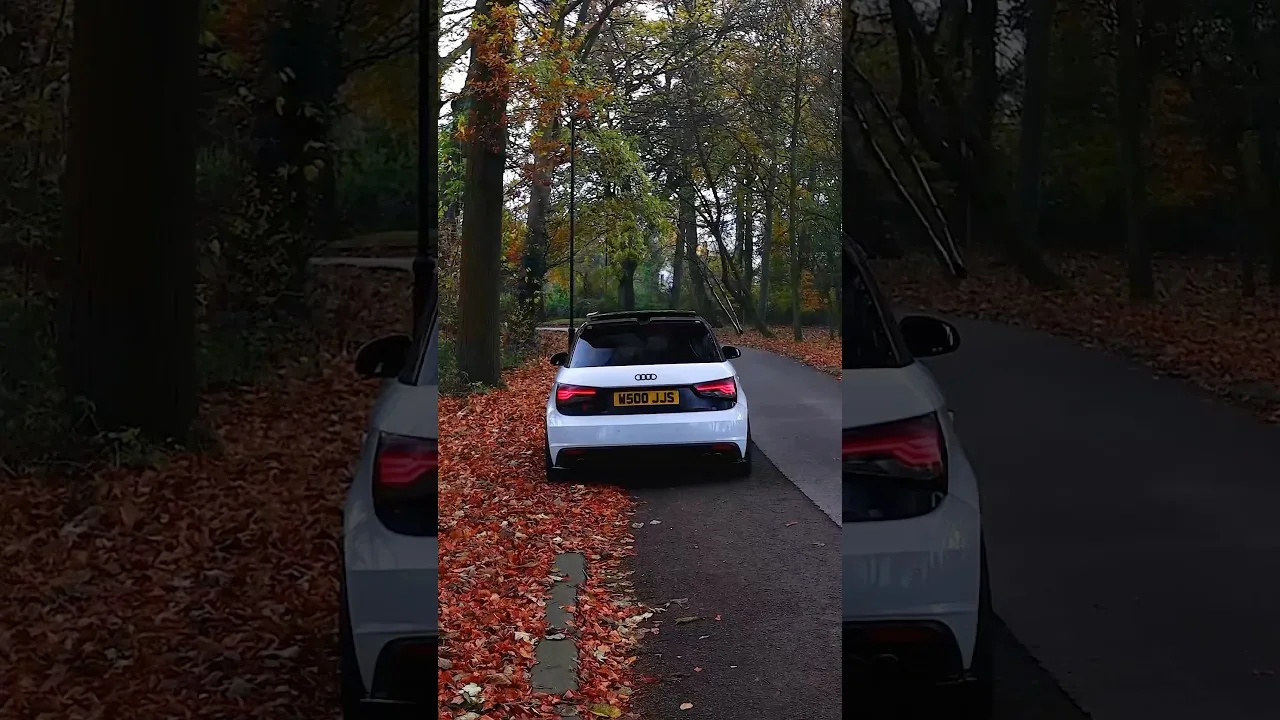 Audi S1 within Autumn Leaves #cars #automobile #audis1