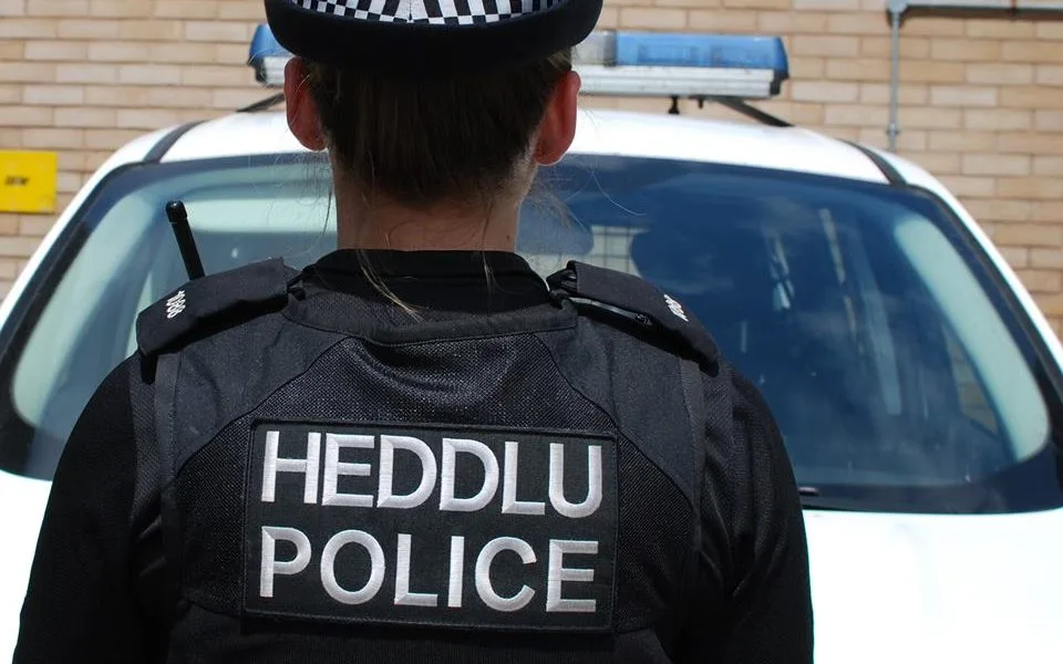 L’homme à être jugé après l’abandon d’Audi trouvé dans Hedge – le Pembrokeshire Herald