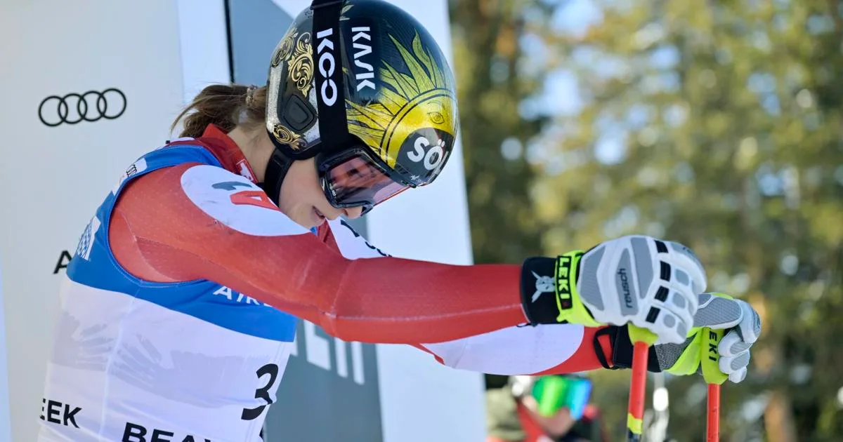 Coupe du monde de ski alpin Audi FIS Stifel Birds of Prey 2024 | Niveau terrain – Citoyen de Rockdale