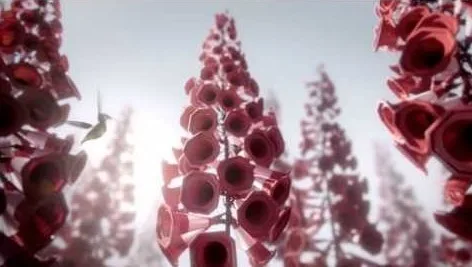 Robotic bird