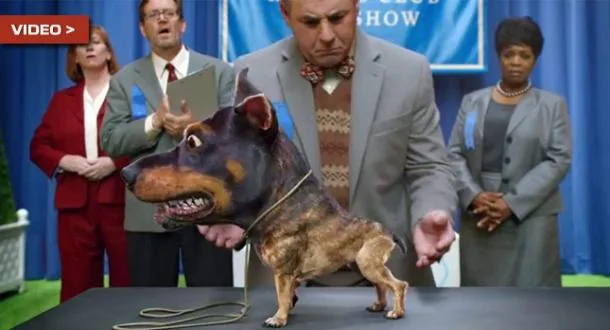 Super Bowl : Le Doberhuahua de Audi fait sensation