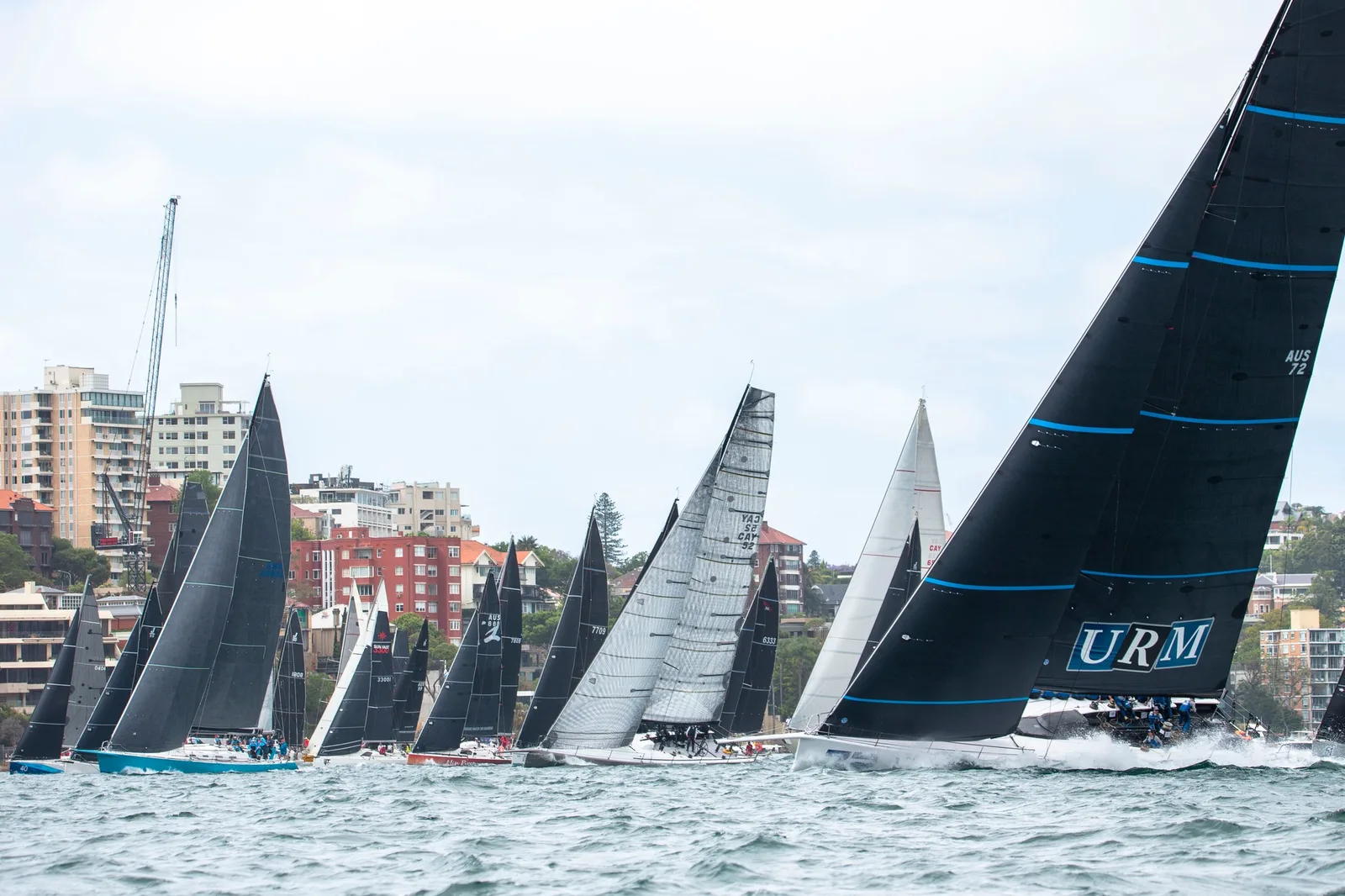 Audi Cente Sydney Blue Water Pointscore – Mises à jour en direct de Bird Island Race
