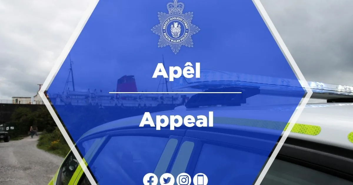 Deux personnes grièvement blessées dans l’accident d’une Audi à Wrexham
