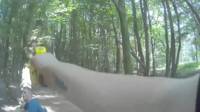 Des frères voleurs échappent à la police après avoir écrasé une Audi volée – Yahoo