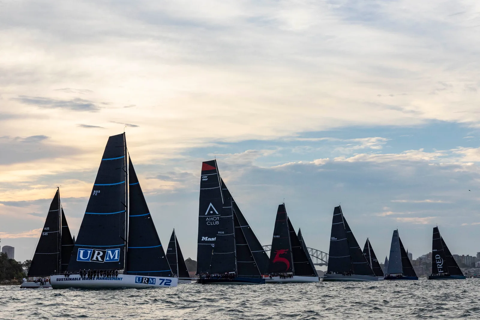 2024/25 Audi Centre Sydney Blue Water Pointscore – Arrivée et classement de la course Cabbage Tree Island
