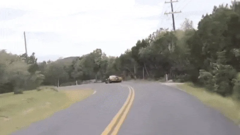 Audi R8 s’écrase dans l’arbre, le motocycliste s’associe à esquiver les débris