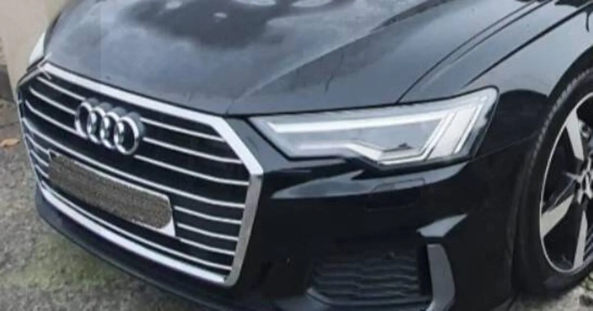 L’automobiliste de Cork aurait renversé Garda avant la saisie imminente d’Audi