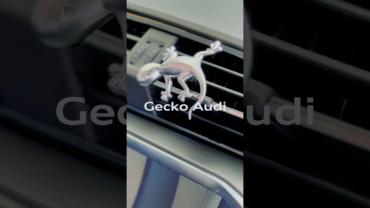 Oficina Portas Abertas Audi – Seu Audi ainda mais cuidado! #audi #teresina #automobile #car