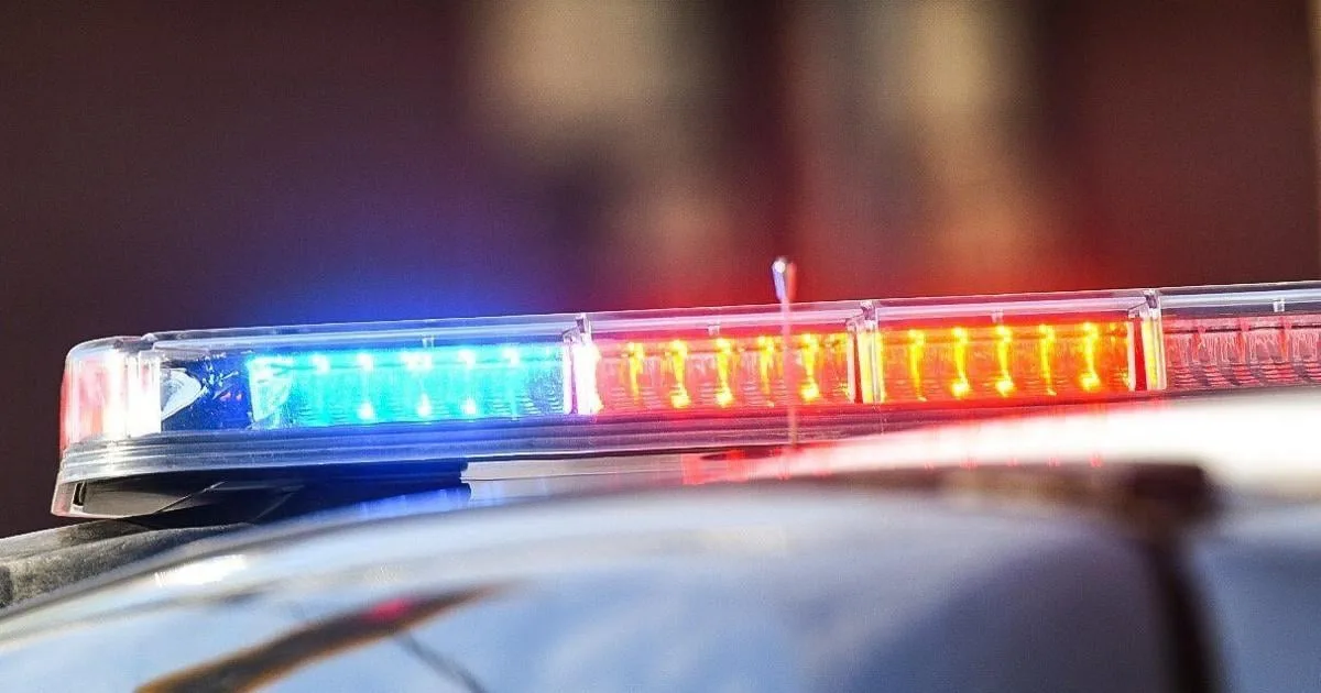 Quatre adolescents arrêtés après avoir été pris dans Audi volé – The Hamilton Spectator