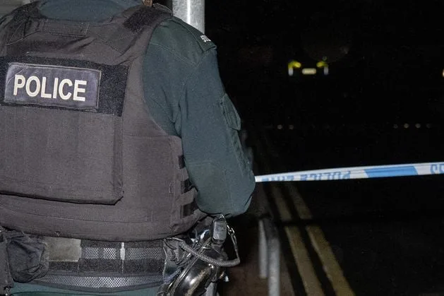 Sonde de la police après que Audi cible dans l’attaque incendie de Belfast East Belfast